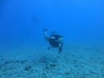 Hawaii Scuba divng 53