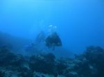 Hawaii Scuba divng 59