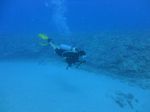 Hawaii Scuba divng 60