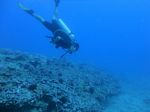 Hawaii Scuba divng 66