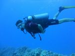 Hawaii Scuba divng 69