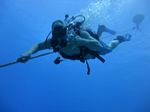 Hawaii Scuba divng 10