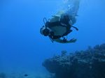 Hawaii Scuba divng 18