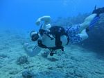 Hawaii Scuba divng 19