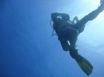 Hawaii Scuba divng 21