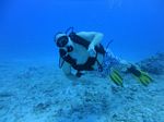 Hawaii Scuba divng 24