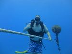 Hawaii Scuba divng 27