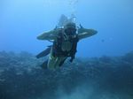 Hawaii Scuba divng 11