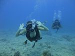 Hawaii Scuba divng 17