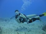 Hawaii Scuba divng 18