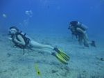 Hawaii Scuba divng 19