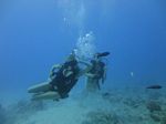 Hawaii Scuba divng 20