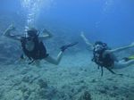 Hawaii Scuba divng 22