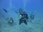 Hawaii Scuba divng 25