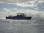 Hawaii Scuba divng 28