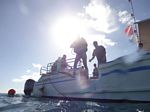 Hawaii Scuba divng 31