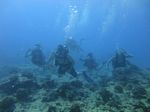 Hawaii Scuba divng 37