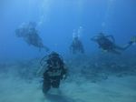 Hawaii Scuba divng 38