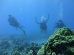 Hawaii Scuba divng 41