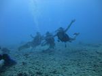 Hawaii Scuba divng 44