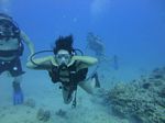 Hawaii Scuba divng 61