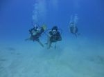 Hawaii Scuba divng 62