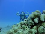 Hawaii Scuba divng 68