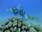 Hawaii Scuba divng 69