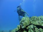 Hawaii Scuba divng 72