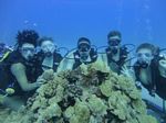 Hawaii Scuba divng 74