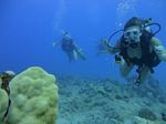 Hawaii Scuba divng 77