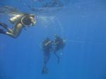 Hawaii Scuba divng 16