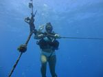 Hawaii Scuba divng 18