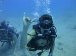 Hawaii Scuba divng 20