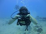 Hawaii Scuba divng 21