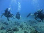 Hawaii Scuba divng 22