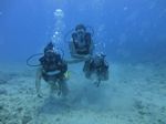 Hawaii Scuba divng 23