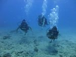 Hawaii Scuba divng 24