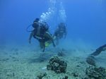 Hawaii Scuba divng 25