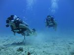 Hawaii Scuba divng 27