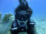 Hawaii Scuba divng 29