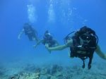 Hawaii Scuba divng 31