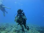 Hawaii Scuba divng 34