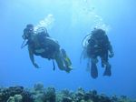 Hawaii Scuba divng 35