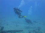 Hawaii Scuba divng 37