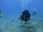 Hawaii Scuba divng 51