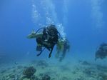 Hawaii Scuba divng 54