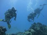 Hawaii Scuba divng 66