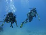 Hawaii Scuba divng 67