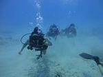 Hawaii Scuba divng 68